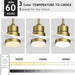 52 in. Ceiling Fans with Lights and Remote, Black Ceiling Fan with Remote, Outdoor Ceiling Fans with Light, Farmhouse Patio-55-ErisView
