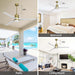 52 in. Ceiling Fans with Lights and Remote, Black Ceiling Fan with Remote, Outdoor Ceiling Fans with Light, Farmhouse Patio-59-ErisView