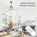 52 in. Ceiling Fans with Lights and Remote, Black Ceiling Fan with Remote, Outdoor Ceiling Fans with Light, Farmhouse Patio-64-ErisView
