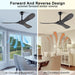 52 in. Ceiling Fans without Lights, Indoor Outdoor Reversible Modern Ceiling Fan with Remote Control, Exterior Ceiling Fans-10-ErisView