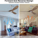 52 in. Ceiling Fans without Lights, Indoor Outdoor Reversible Modern Ceiling Fan with Remote Control, Exterior Ceiling Fans-20-ErisView