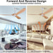 52 in. Ceiling Fans without Lights, Indoor Outdoor Reversible Modern Ceiling Fan with Remote Control, Exterior Ceiling Fans-24-ErisView