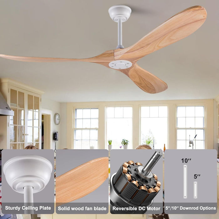 52 in. Ceiling Fans without Lights, Indoor Outdoor Reversible Modern Ceiling Fan with Remote Control, Exterior Ceiling Fans-25-ErisView