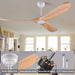 52 in. Ceiling Fans without Lights, Indoor Outdoor Reversible Modern Ceiling Fan with Remote Control, Exterior Ceiling Fans-25-ErisView