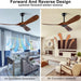 52 in. Ceiling Fans without Lights, Indoor Outdoor Reversible Modern Ceiling Fan with Remote Control, Exterior Ceiling Fans-6-ErisView