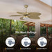 52 in. Dimmable Gold Outdoor Ceiling Fans for Porch Patio, Tropical Quiet Ceiling Fan with Light Kit and Remote-ErisView