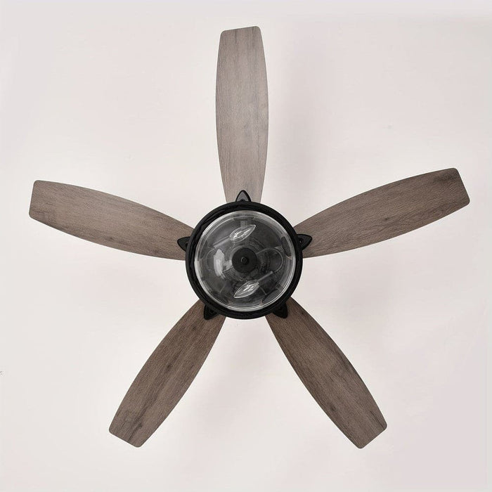 52 in. Farmhouse Downrod Mount Caged Reversible Ceiling Fan with Light and Remote Control for Living Room-ErisView