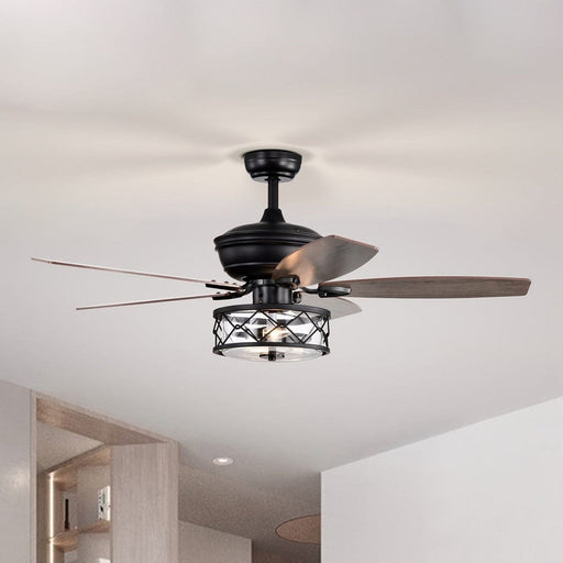 52 in. Farmhouse Downrod Mount Caged Reversible Ceiling Fan with Light and Remote Control for Living Room-ErisView