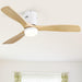 52 in. Flush Mount Ceiling Fan and Light, Modern Low Profile Ceiling Fan with Remote, Farmhouse Reversible DC Ceiling Fan for Patios Bedroom Living Room -14-ErisView