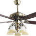 52 in. Indoor Bronze Ceiling Fan Light Fixture with Remote Switch for Bedroom Living Room Dining Room, 5 Blade Ceiling Fan-1-ErisView