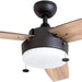 52 in. Indoor Contemporary Ceiling Fan with Light Pull Chain, Modern Fan with Light, Reversible Fan for Summer Winter-1-ErisView