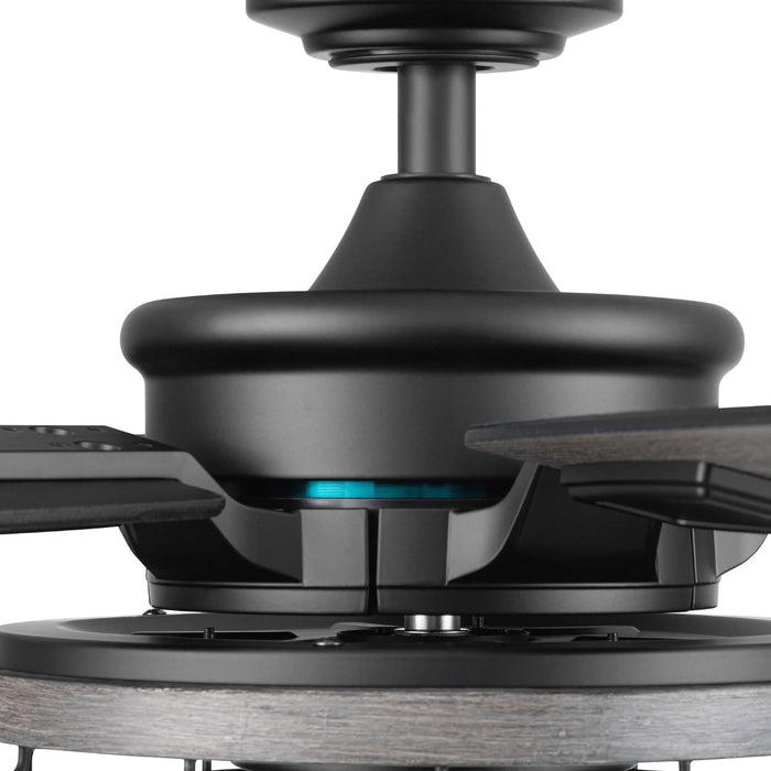 52 in. Indoor LED Industrial Looking Ceiling Fan with Light and Remote Control, Matte Black Reversible Ceiling Fan-13-ErisView