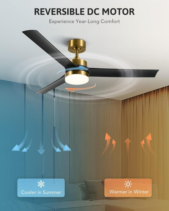 52 in. Indoor Outdoor Black Modern Ceiling Fan and Remote, Reversible Quiet Ceiling Fan for Bedroom, Outdoor Patio Ceiling Fans-14-ErisView