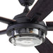 52 in. Indoor Outdoor LED Ceiling Fan with Light, Remote Control, Reversible Fan for Summer Winter, Black Outdoor Fan-13-ErisView