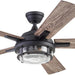 52 in. Indoor Outdoor LED Ceiling Fan with Light, Remote Control, Reversible Fan for Summer Winter, Black Outdoor Fan-1-ErisView