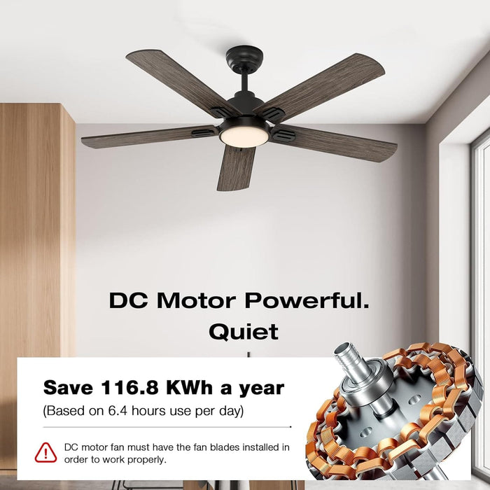 52 in. Indoor Remote Control Ceiling Fan and Light, Black Reversible Silent Ceiling Fan with Timer-5-ErisView