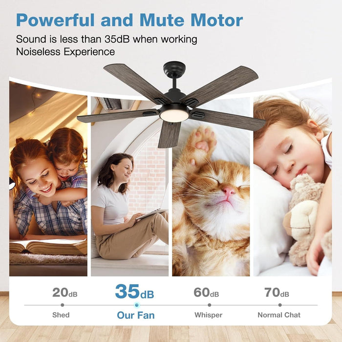 52 in. Indoor Remote Control Ceiling Fan and Light, Black Reversible Silent Ceiling Fan with Timer-6-ErisView