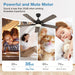 52 in. Indoor Remote Control Ceiling Fan and Light, Black Reversible Silent Ceiling Fan with Timer-6-ErisView