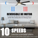 52 in. Low Ceiling Fan and Light, Reversible Smart Ceiling Fan with Remote, Work with Alexa, Siri Google Home, Dimmable Black and Gold Ceiling Fan-5-ErisView