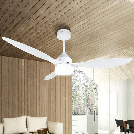 52 in. Low Profile Ceiling Fan with Light and Remote, Dimmable Noiseless Flush Mount Ceiling Fan for Bedroom, Reversible Ceiling Fan Winter Summer-1-ErisView