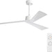 52 in. Modern Ceiling Fan NO Light, Reversible Ceiling Fan with Remote Control for Kitchen Bedroom Living Room Dining Room-1-ErisView