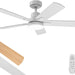 52 in. Outdoor Ceiling Fan with Light and Remote, Popular Ceiling Fans, Dimmable Noiseless Black Bedroom Ceiling Living Room Fan-13-ErisView