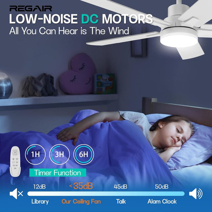 52 in. Outdoor Ceiling Fan with Light and Remote, Popular Ceiling Fans, Dimmable Noiseless Black Bedroom Ceiling Living Room Fan-17-ErisView