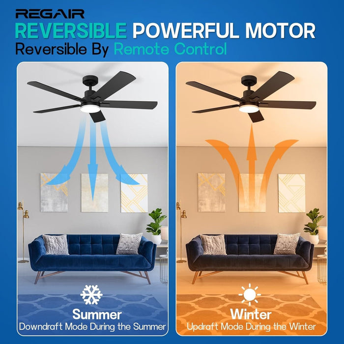 52 in. Outdoor Ceiling Fan with Light and Remote, Popular Ceiling Fans, Dimmable Noiseless Black Bedroom Ceiling Living Room Fan-3-ErisView