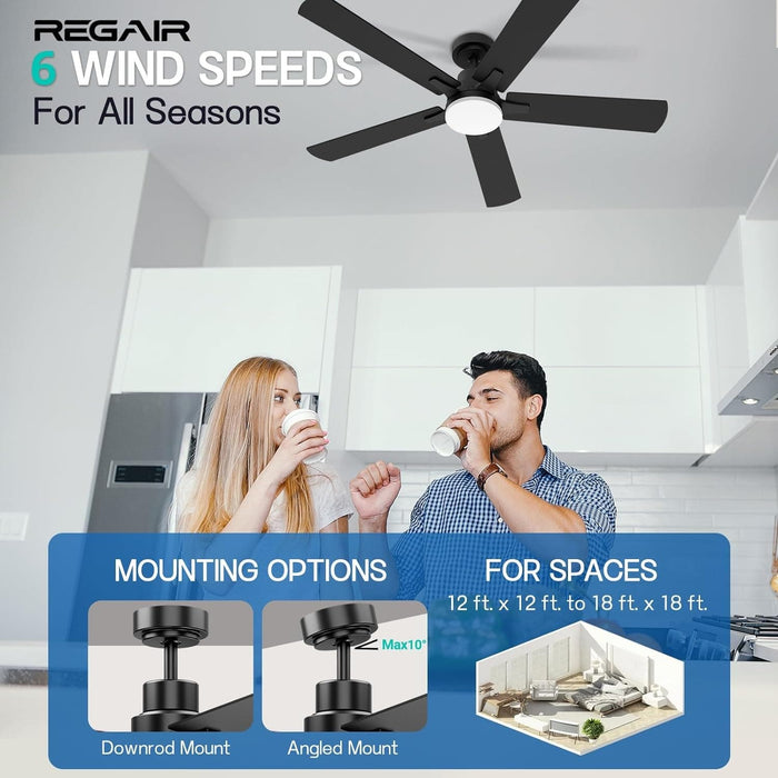 52 in. Outdoor Ceiling Fan with Light and Remote, Popular Ceiling Fans, Dimmable Noiseless Black Bedroom Ceiling Living Room Fan-4-ErisView