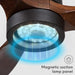 52 in. Outdoor Ceiling Fan with Light for Patio, Waterproof Reversible DC Ceiling Fan, 3 Walnut Wood Blade Wet Rated Outdoor Ceiling Fans-39-ErisView