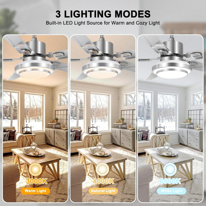 52 in. Outdoor Ceiling Fans Light with Remote for Patio, Stainless Steel Ceiling Fans with LED Light for Pavilion Barn, Warehouse Ceiling Fans-5-ErisView