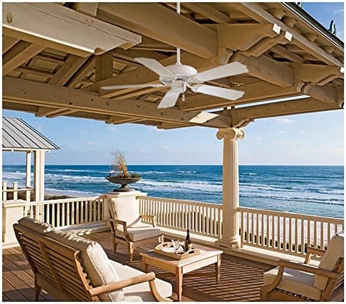 52 in. Outdoor Ceiling Fans, White Ceiling Fan, Exterior Ceiling Fans with Pull Chain -2-ErisView