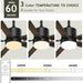 52 in. Outdoor Modern Black Fan, Ceiling Fans with Lights and Remote, Bedroom Ceiling Fans, Porch Fans-52-ErisView