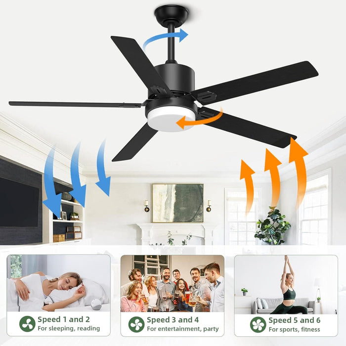 52 in. Remote Control Ceiling Fan and Light, Black Outdoor Ceiling Fan, Nice Ceiling Fans, 5 Blades Outdoor Patio Fans, Porch Ceiling Fans-26-ErisView