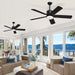52 in. Remote Control Ceiling Fan and Light, Black Outdoor Ceiling Fan, Nice Ceiling Fans, 5 Blades Outdoor Patio Fans, Porch Ceiling Fans-2-ErisView