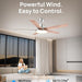 52 in. Remote Control Ceiling Fan and Light,Beautiful Ceiling Fans, Silver Ceiling Fan for Bedroom Living Room-2-ErisView