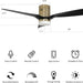 52 in. Smart Ceiling Fan with Dimmable LED Light, Fancy Ceiling Fans with Remote Alexa Google Assistant Siri Shortcuts -7-ErisView