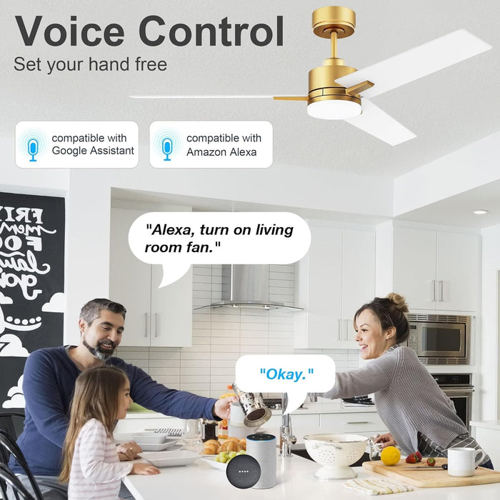 52 in. Smart Ceiling Fan with Light and Remote, Fast Ceiling Fan with Voice Alexa Google Wi-Fi APP Control for Bedroom, Outdoor Fans for Porch Patio-2-ErisView