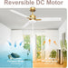 52 in. Smart Ceiling Fan with Light and Remote, Fast Ceiling Fan with Voice Alexa Google Wi-Fi APP Control for Bedroom, Outdoor Fans for Porch Patio-5-ErisView