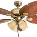 52 in. Tropical LED Ceiling Fan with Light Pull Chain, Solid Wood Blade Bronze Ceiling Fan-10-ErisView