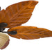52 in. Tropical LED Ceiling Fan with Light Pull Chain, Solid Wood Blade Bronze Ceiling Fan-9-ErisView
