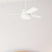 52 in. White Ceiling Fan with LED Light Kit and Pull Chain, Ceiling Hugger Ceiling Fan with Light-4-ErisView