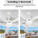 52 in. White Dimmable Reversible DC Ceiling Fan, 5 Blade Ceiling Fan with Light Remote, Indoor Ceiling Fan for Bedroom Kitchen, Outdoor Patio Fan-6-ErisView