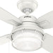52 in. White Indoor Outdoor Ceiling Fans with LED Light Kit and Pull Chain, Hugger Ceiling Fan with Light, Four Blade Ceiling Fan-6-ErisView