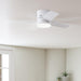 52 in. White Low Profile Ceiling Fan with LED Light Kit and Handheld Remote, Ceiling Hugger Ceiling Fans-4-ErisView