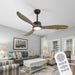 52 in. Wood Ceiling Fan with Light and Remote,Beautiful Ceiling Fans,, LED Dimmable Wood Blade Ceiling Fan-8-ErisView