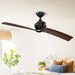 54 in. 2-Blade Modern Ceiling Fan with Remote for Living Room-Black-ErisView