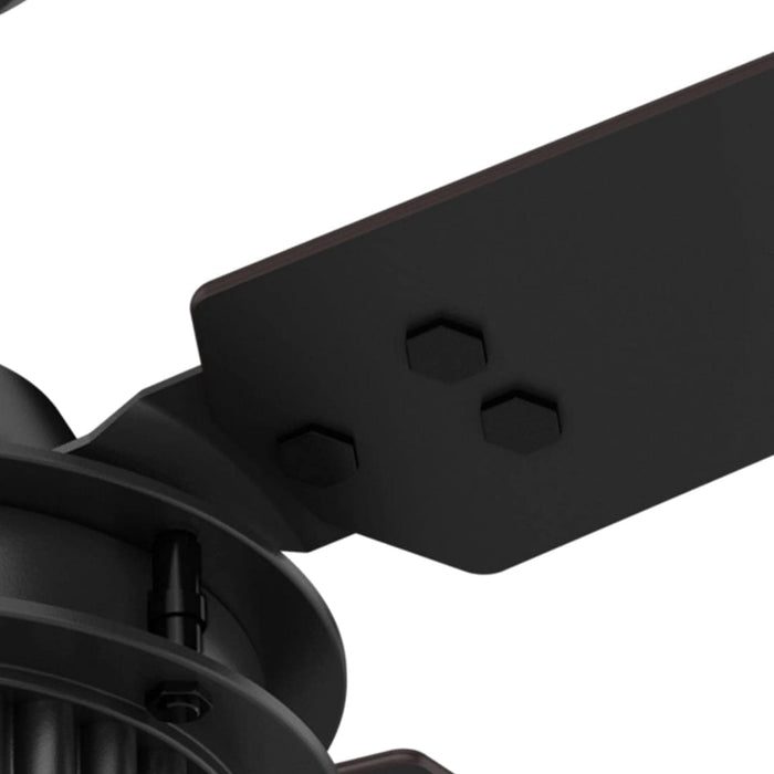 54 in. Chronicle Matte Black Outdoor Fan, Indoor Outdoor Ceiling Fans with Wall Control, Hugger Ceiling Fans-7-ErisView
