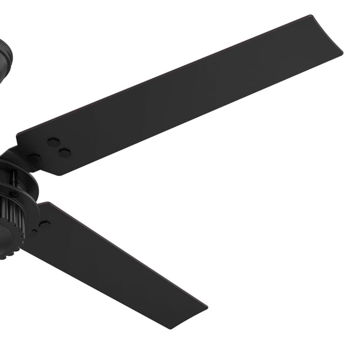 54 in. Chronicle Matte Black Outdoor Fan, Indoor Outdoor Ceiling Fans with Wall Control, Hugger Ceiling Fans-9-ErisView