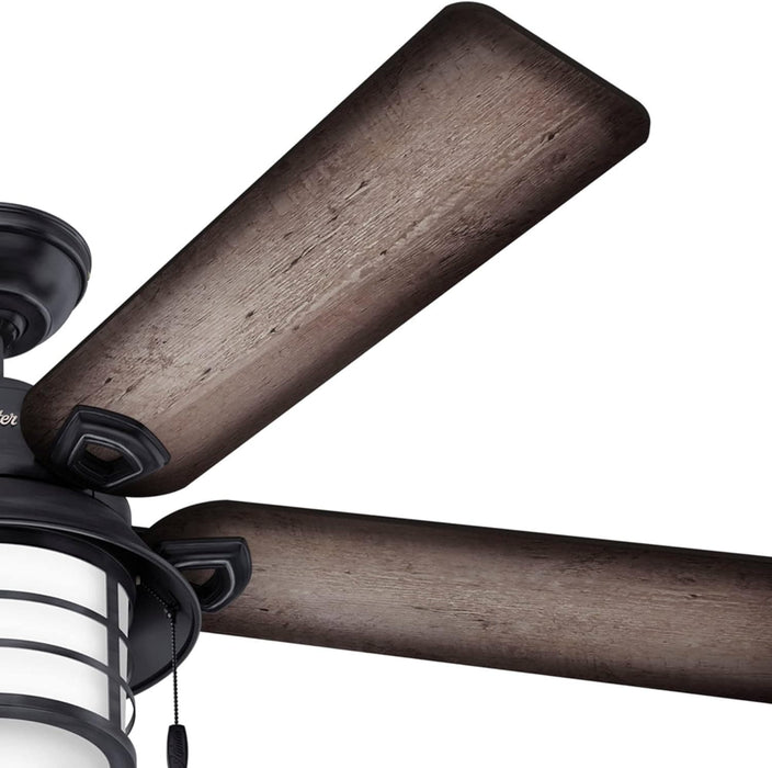 54 in. Outdoor Ceiling Fans with Light, Indoor Outdoor Ceiling Fans with LED Lights and Pull Chain Control-11-ErisView